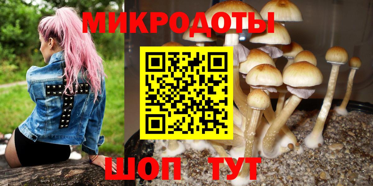 Псилоцибиновые грибы мицелий Калининград