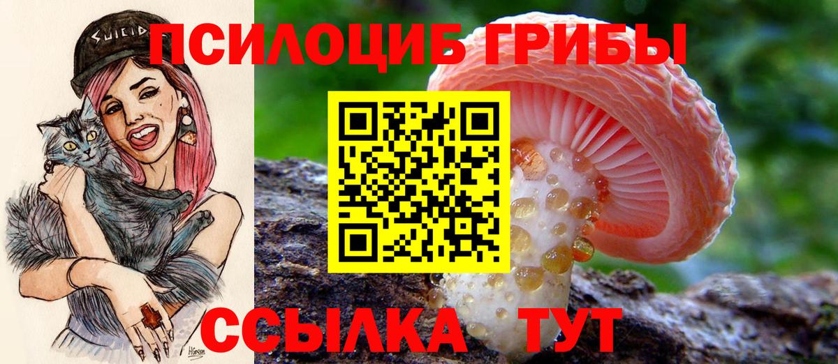 купить наркотик  Вход с VPN  Калининград  Галлюциногенные грибы мицелий 